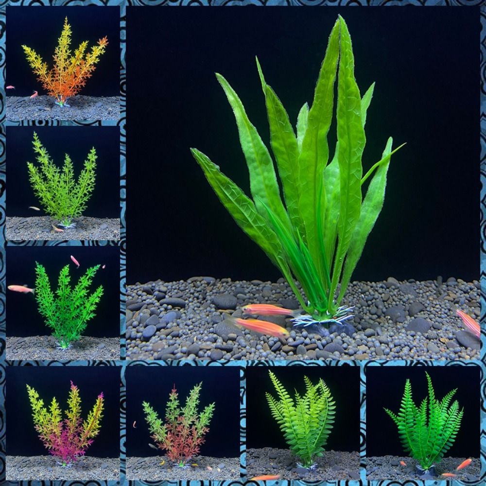 Planted Aquarium Bowl - Balık tankı süs bitki akvaryum yapay