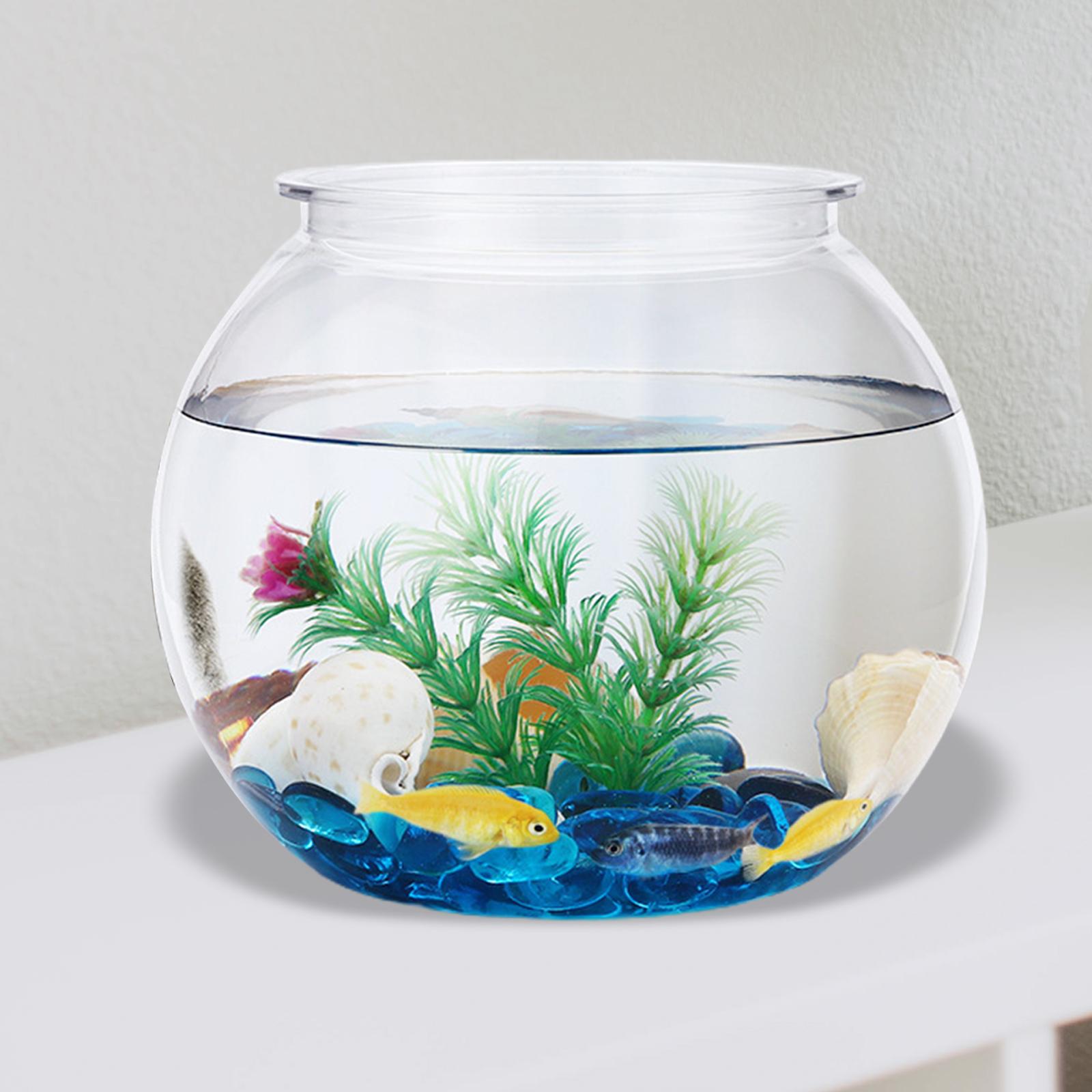 Planted Aquarium Bowl - Şeffaf küçük balık tankı dekoratif DIY