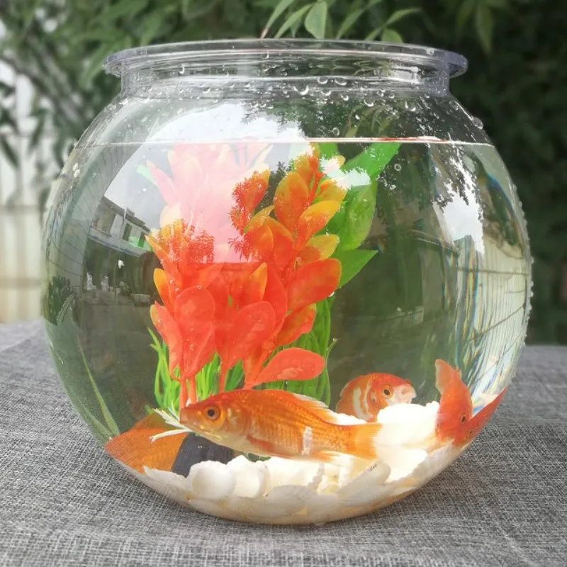 Planted Aquarium Bowl - Akvaryum balığı kase masaüstü şeffaf plastik