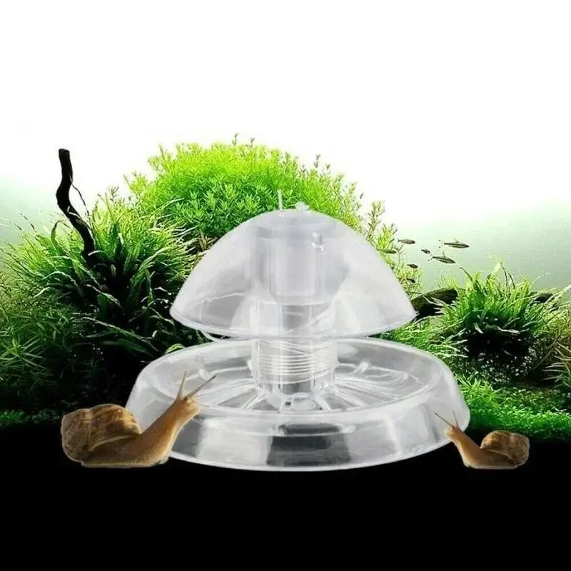 Aquarium Planting Ideas - 2026 Yeni 6/8CM Şeffaf Plastik Salyangoz