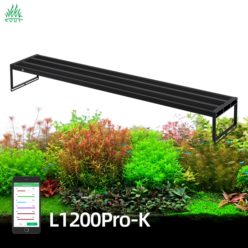 Planted Aquarium Cycling - WEEKAQUA L1200K Pro 120CM APP Kontrollü