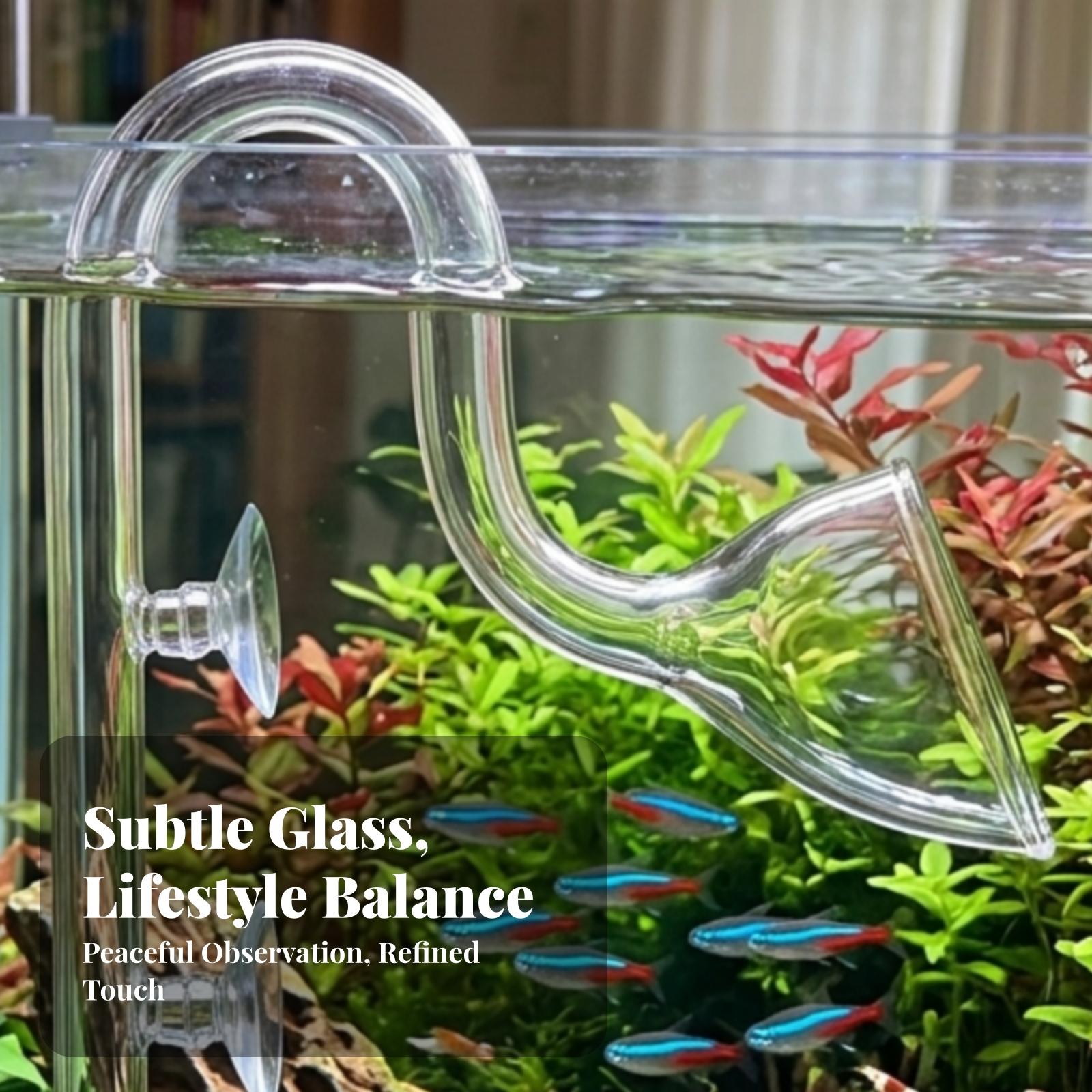Aquarium Planted Filter - Akvaryum Filtresi Giriş ve Çıkış Şeffaf