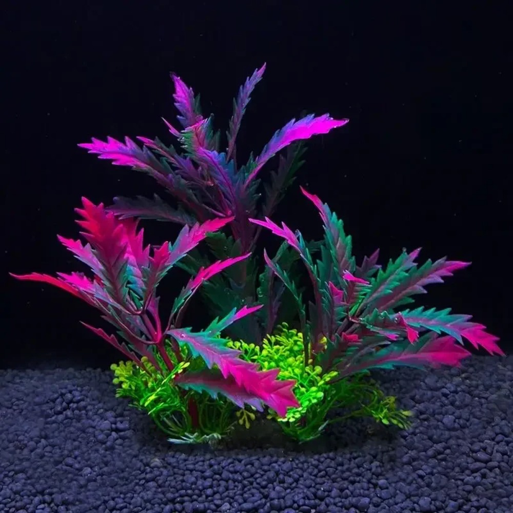 Planted Aquarium Bowl - 2 adet Balık Tankı Süs Bitkisi