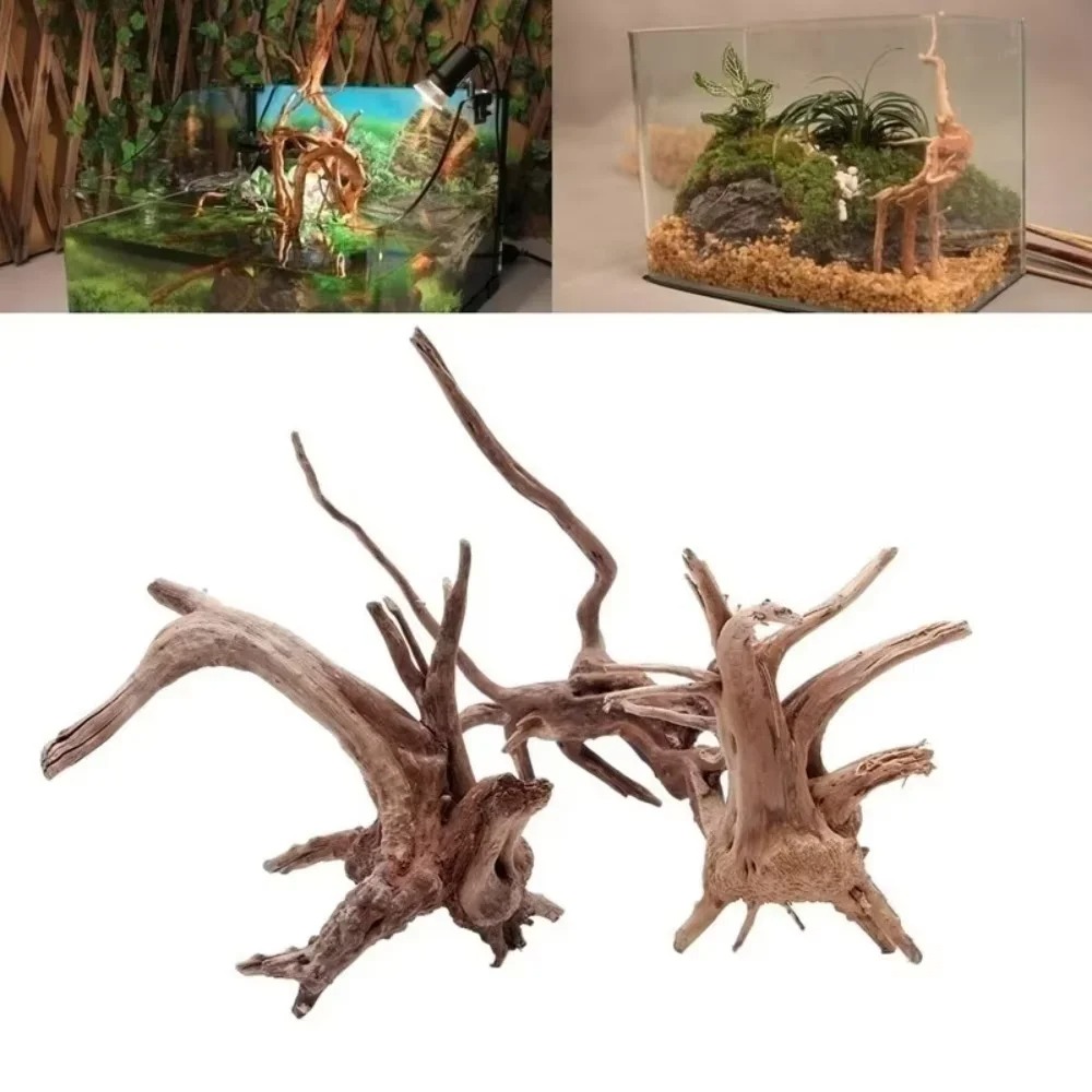 Aquarium Planting Ideas - (15-20cm) Doğal Deniz Odunu Akvaryum Dekorasyonu