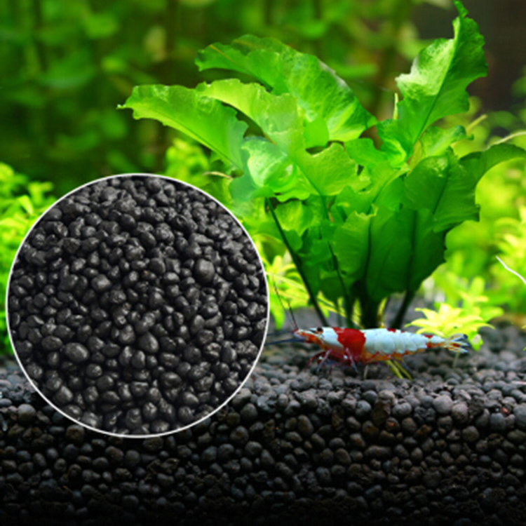 Aquarium Planting Ideas - Akvaryum bitki tohumları toprak balık tankı