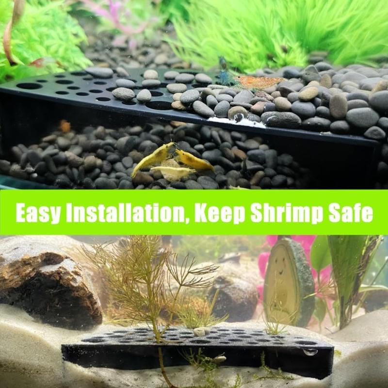 Aquarium Planting Ideas - Küçük Balıklar İçin Yeni Akvaryum Gizli