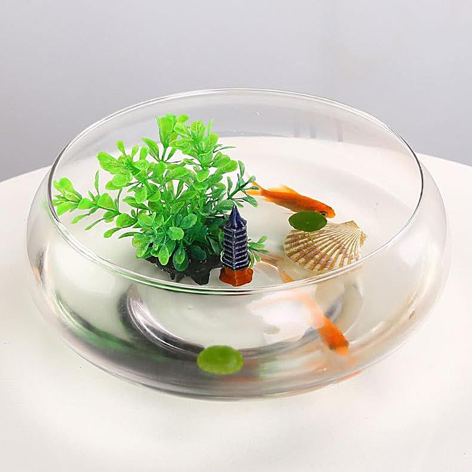 Planted Aquarium Bowl - Balık Cam Kase Büyük Hidroponik Çiçek