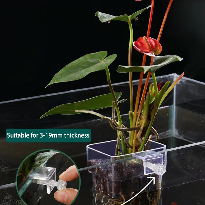 Planted Aquarium With Fish - Çok fonksiyonlu balık akvaryumu su çim