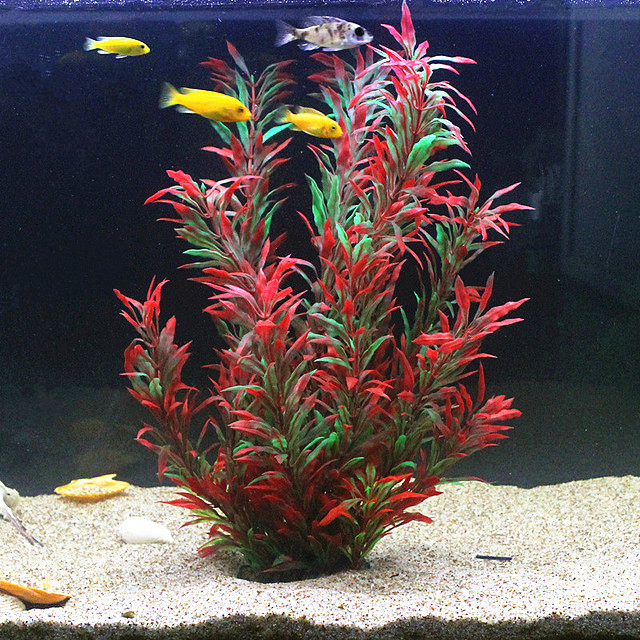 Planted Aquarium With Fish - 50 CM Yapay Balık Tankı Nadir