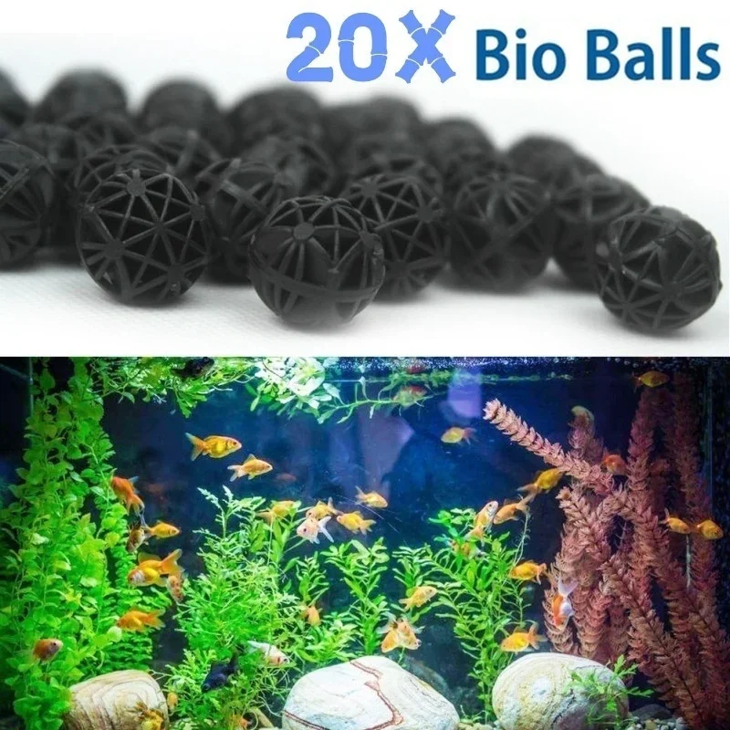 Planted Aquarium With Fish - 20 adet 16mm akvaryum filtresi biyo