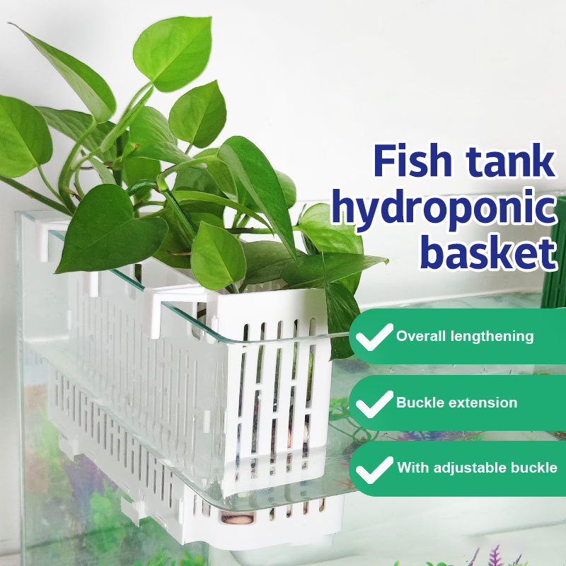 Planted Aquarium With Fish - Balık Tankı Asılı Saksı Su Bitkisi