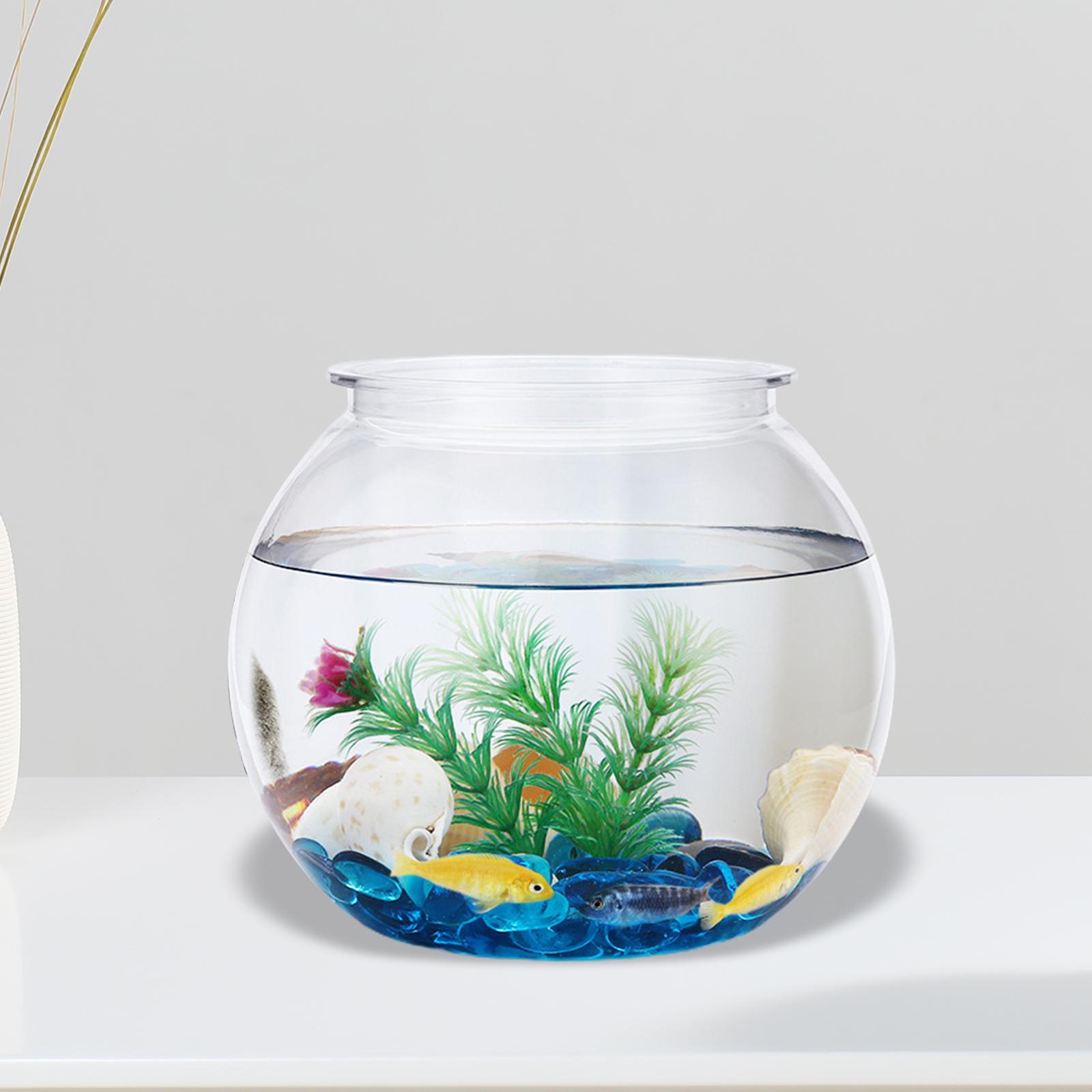 Şeffaf küçük balık tankı dekor - Planted Aquarium Bowl incelemesi ve fiyatı