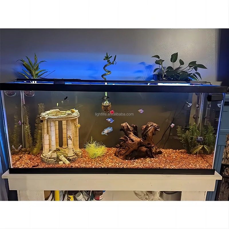7/24 Döngülü Su Geçirmez Otoma - Planted Aquarium Cycling incelemesi ve fiyatı