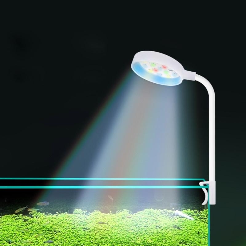 Küçük Akvaryum Balık Tankı Işı - Planted Aquarium Bowl incelemesi ve fiyatı