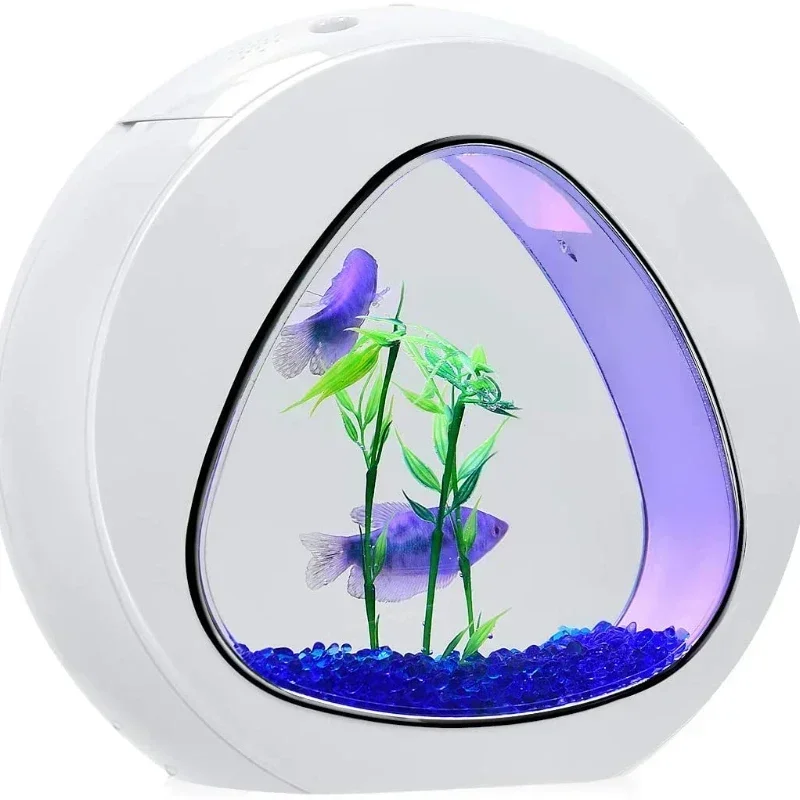 Betta Balık Tankı, LED Işıklı  - Planted Aquarium Bowl incelemesi ve fiyatı