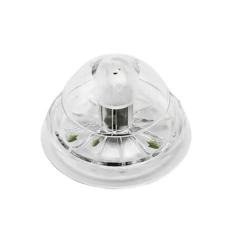 2026 Yeni 6/8CM Şeffaf Plastik - Aquarium Planting Ideas incelemesi ve fiyatı
