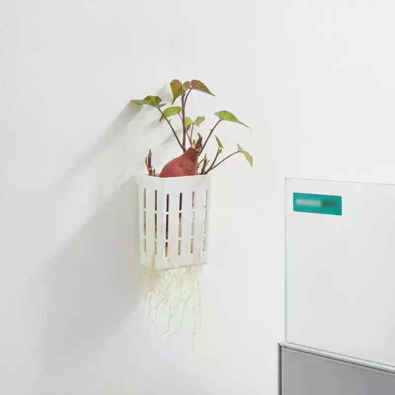1 Adet Hidroponik Destek Sepet - Planted Aquarium With Fish incelemesi ve fiyatı
