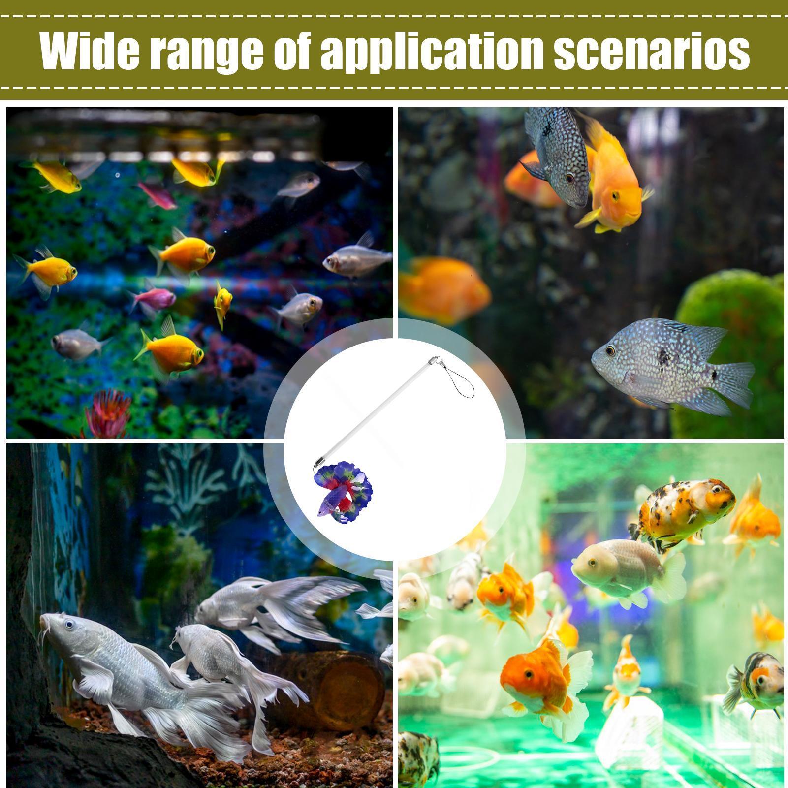 Betta Eğitim Çubuğu İnteraktif - Planted Aquarium For Beginners incelemesi ve fiyatı
