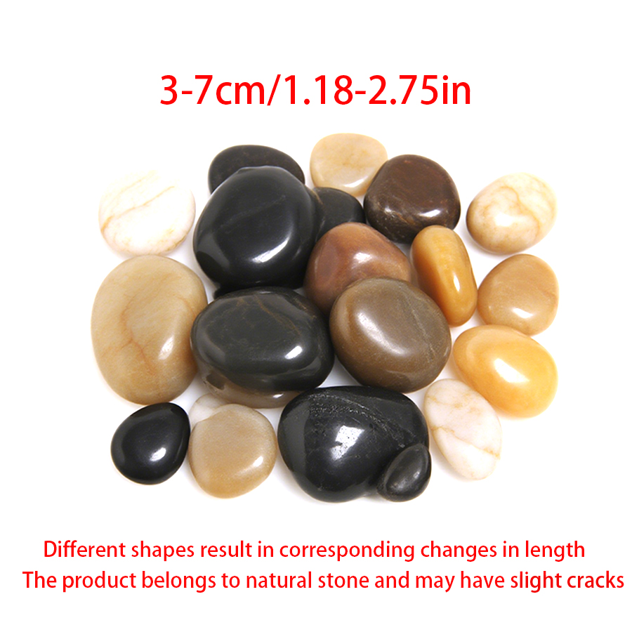 300-700g Düz Yüzeyli Nehir Çak - Planted Aquarium With Fish incelemesi ve fiyatı