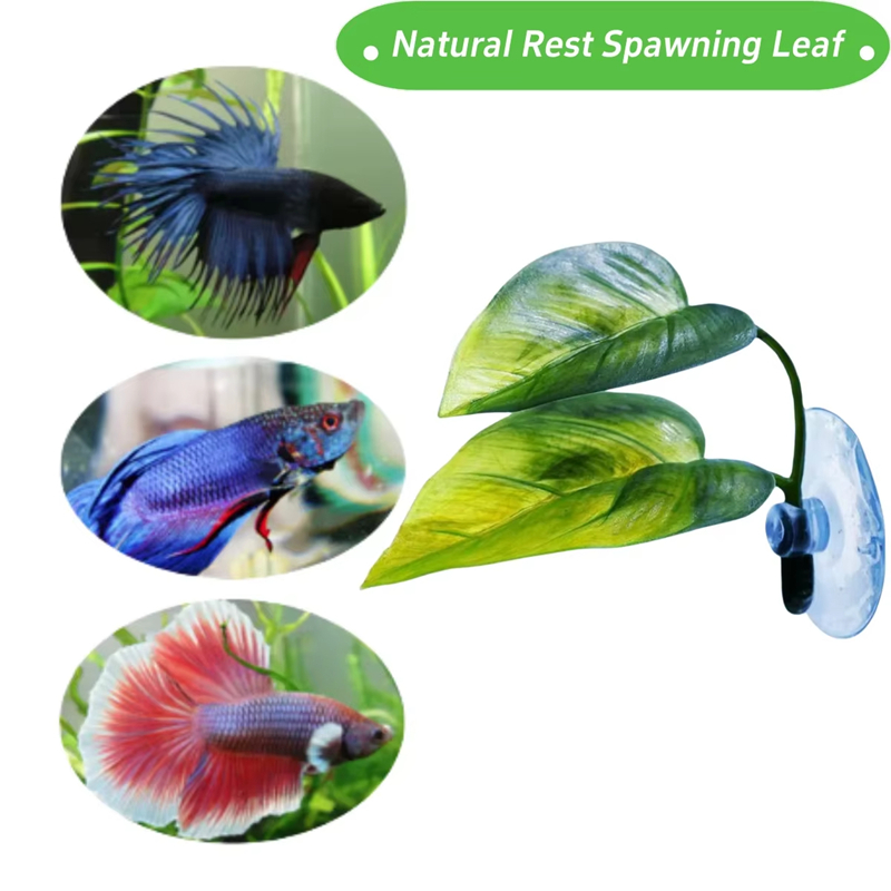 Akvaryum Evcil Hayvan Malzemel - Planted Aquarium With Fish incelemesi ve fiyatı