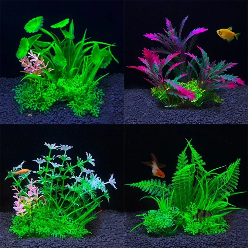 2 adet Balık Tankı Süs Bitkisi - Planted Aquarium Bowl incelemesi ve fiyatı
