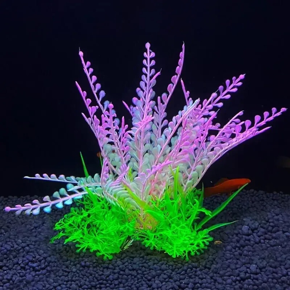 2 adet Balık Tankı Süs Bitkisi - Planted Aquarium Bowl incelemesi ve fiyatı