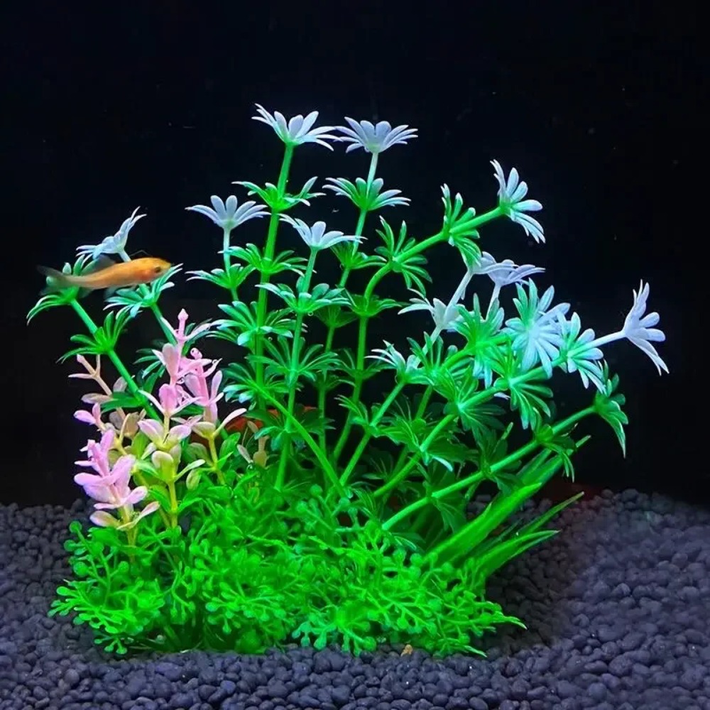 2 adet Balık Tankı Süs Bitkisi - Planted Aquarium Bowl incelemesi ve fiyatı