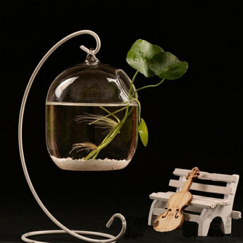 62kd Askılı Şeffaf Asma Balık  - Planted Aquarium Bowl incelemesi ve fiyatı
