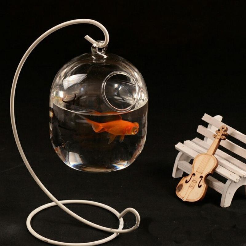 62kd Askılı Şeffaf Asma Balık  - Planted Aquarium Bowl incelemesi ve fiyatı
