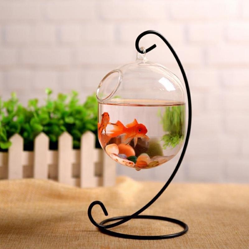 62kd Askılı Şeffaf Asma Balık  - Planted Aquarium Bowl incelemesi ve fiyatı