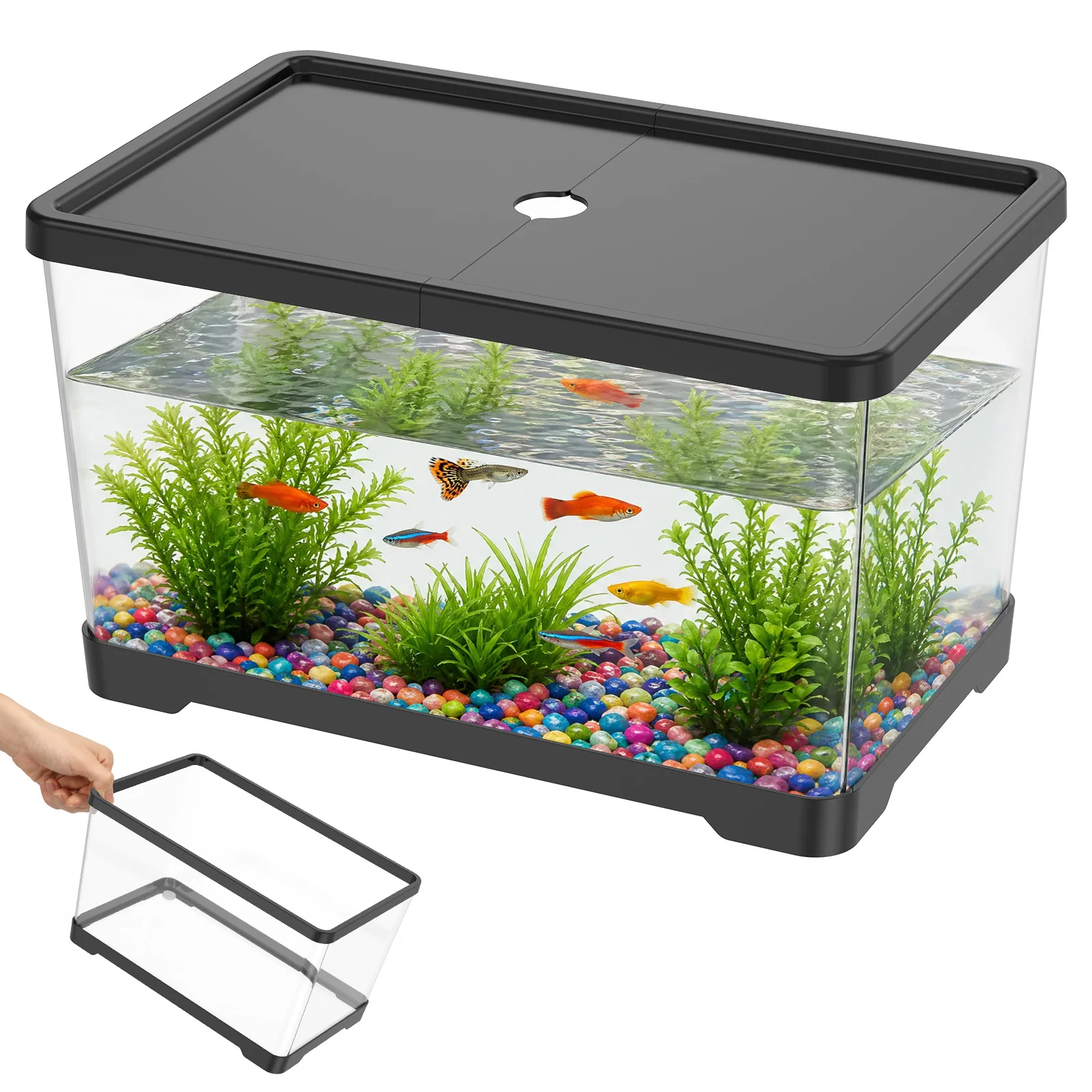 Şeffaf Balık Tankı Akvaryumu,  - Planted Aquarium Bowl incelemesi ve fiyatı