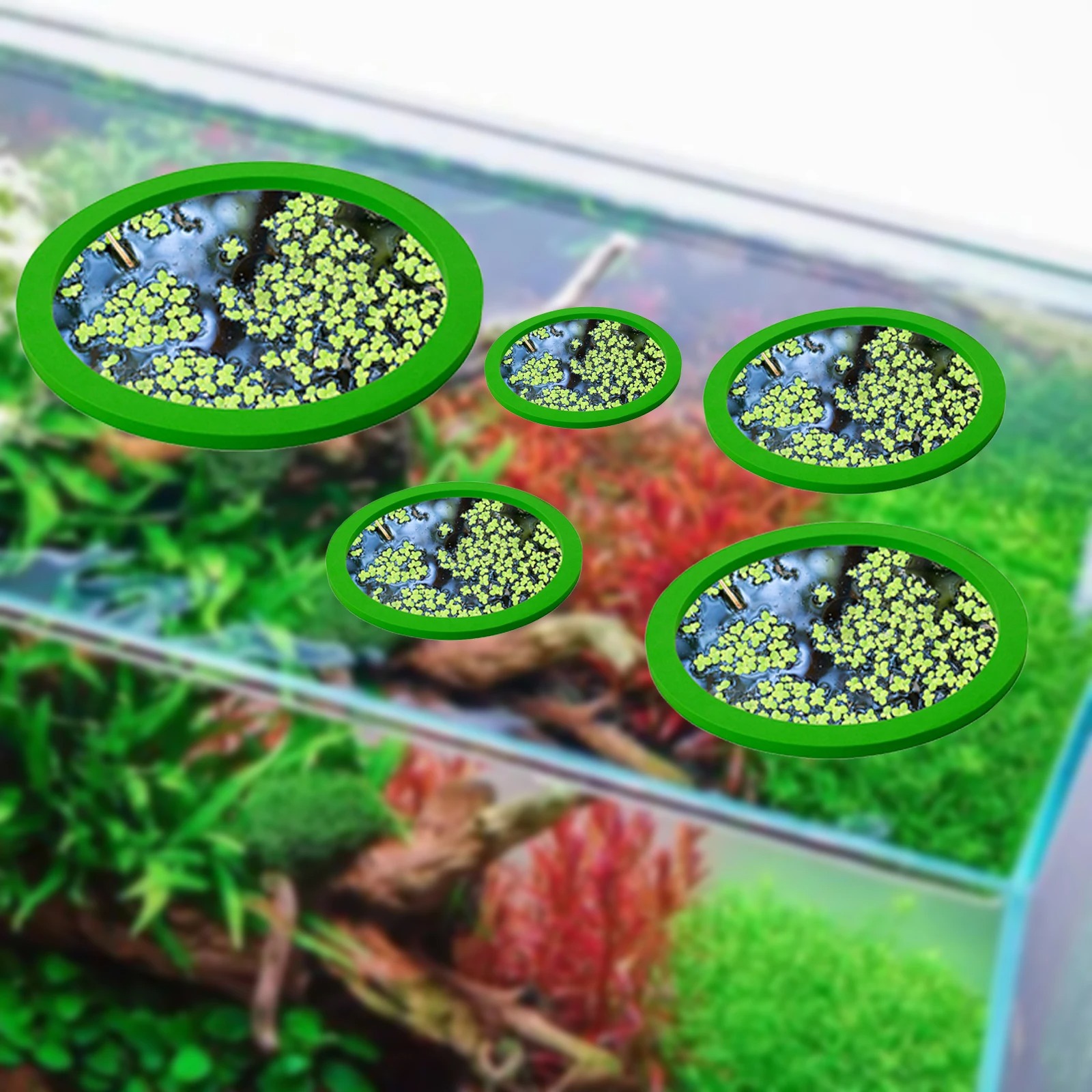5 adet EVA balık besleme halka - Planted Aquarium With Fish incelemesi ve fiyatı