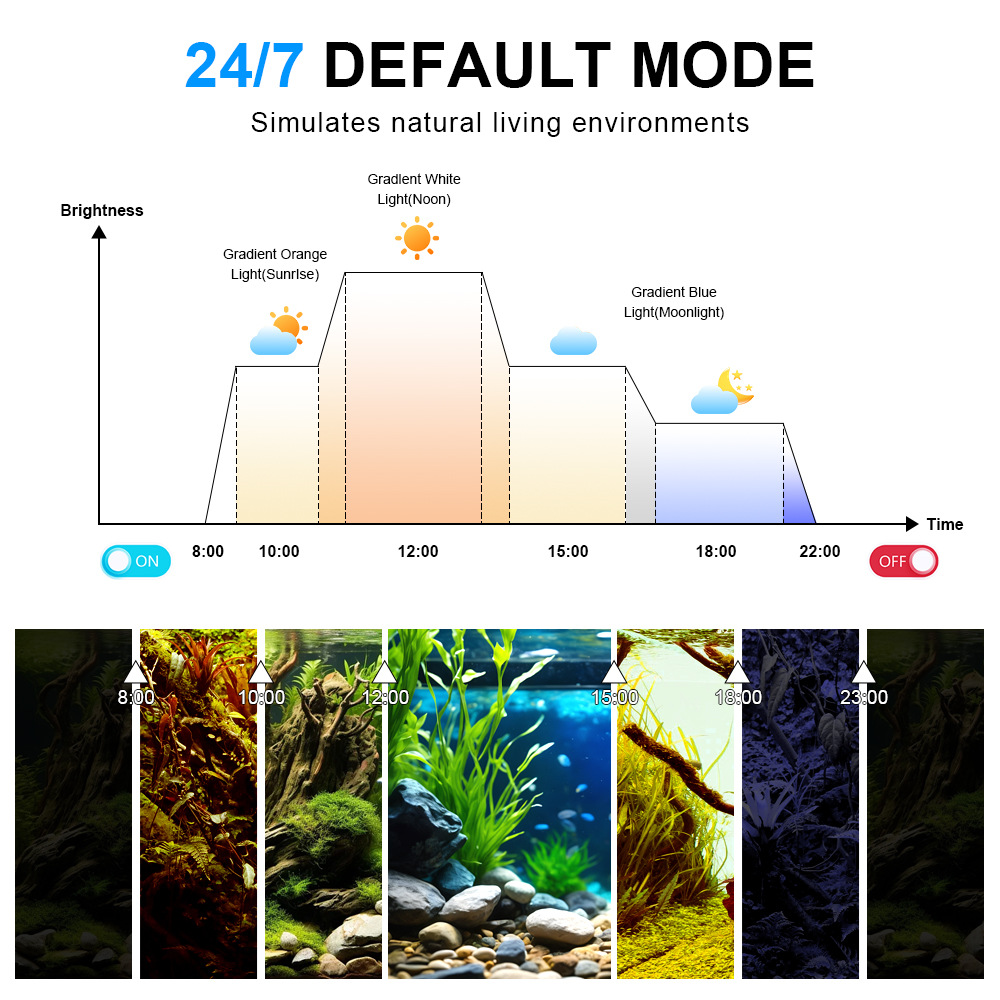 7/24 Işık Döngülü Balık Tankı  - Planted Aquarium Cycling incelemesi ve fiyatı