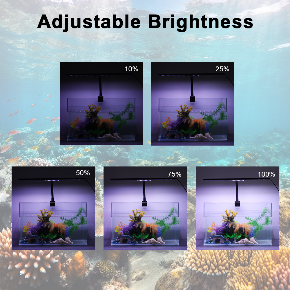 7/24 Işık Döngülü Balık Tankı  - Planted Aquarium Cycling incelemesi ve fiyatı