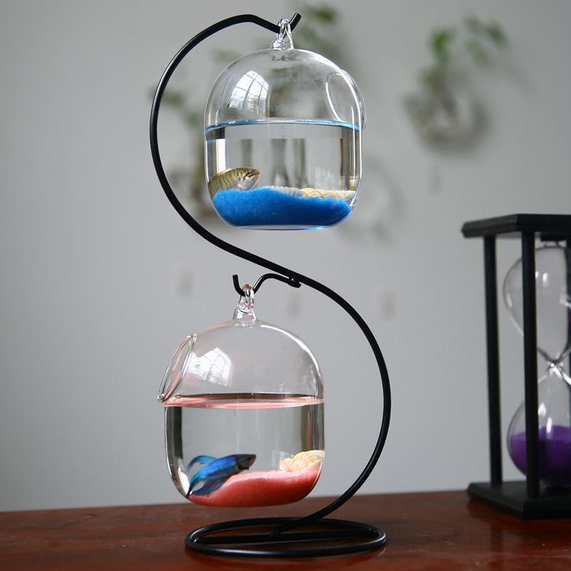 Yaratıcı çift katlı şeffaf ası - Planted Aquarium Bowl incelemesi ve fiyatı
