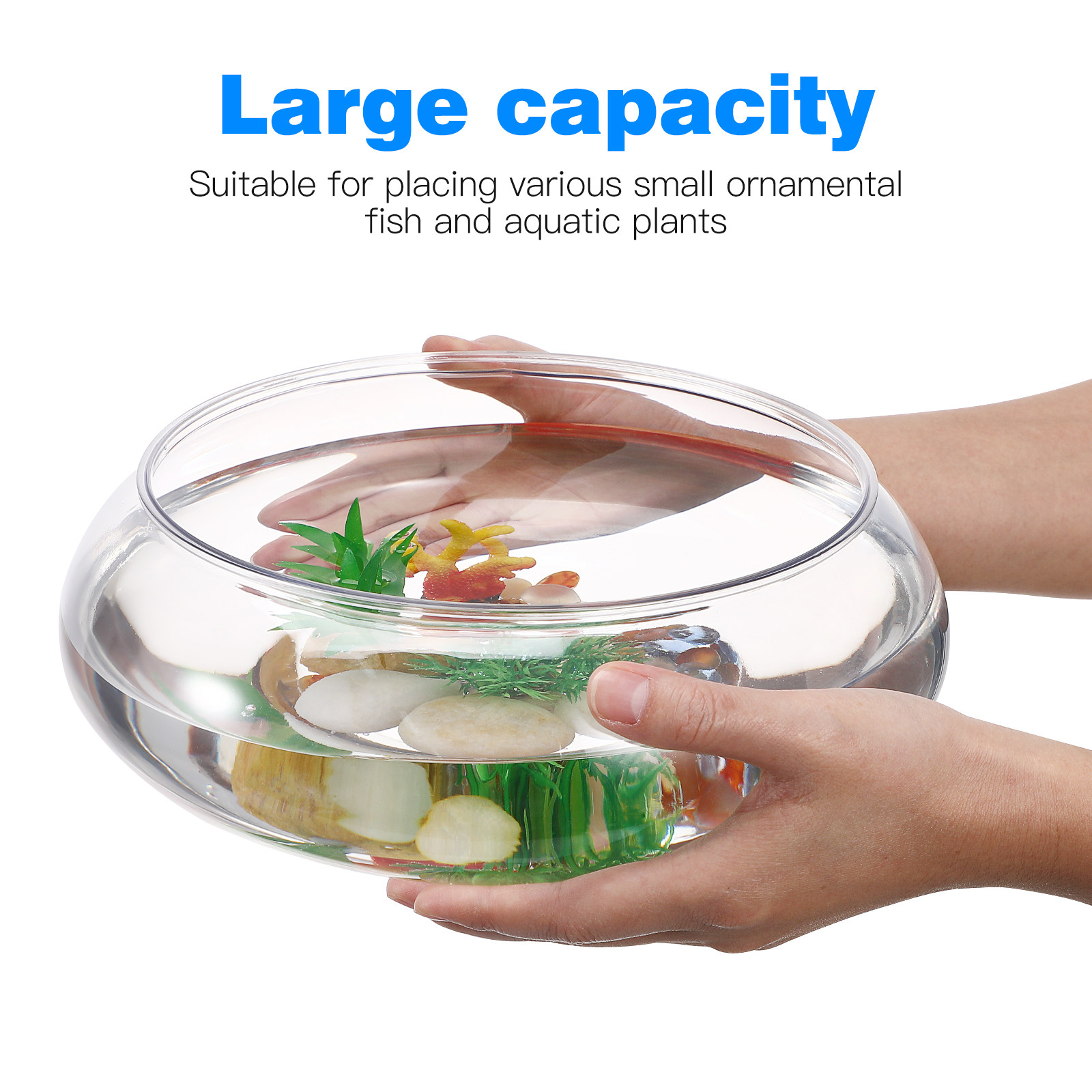 Şeffaf Akvaryum Tankı, 2800 ml - Planted Aquarium Bowl incelemesi ve fiyatı