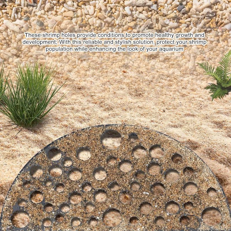 Küçük Balıklar İçin Yeni Akvar - Aquarium Planting Ideas incelemesi ve fiyatı