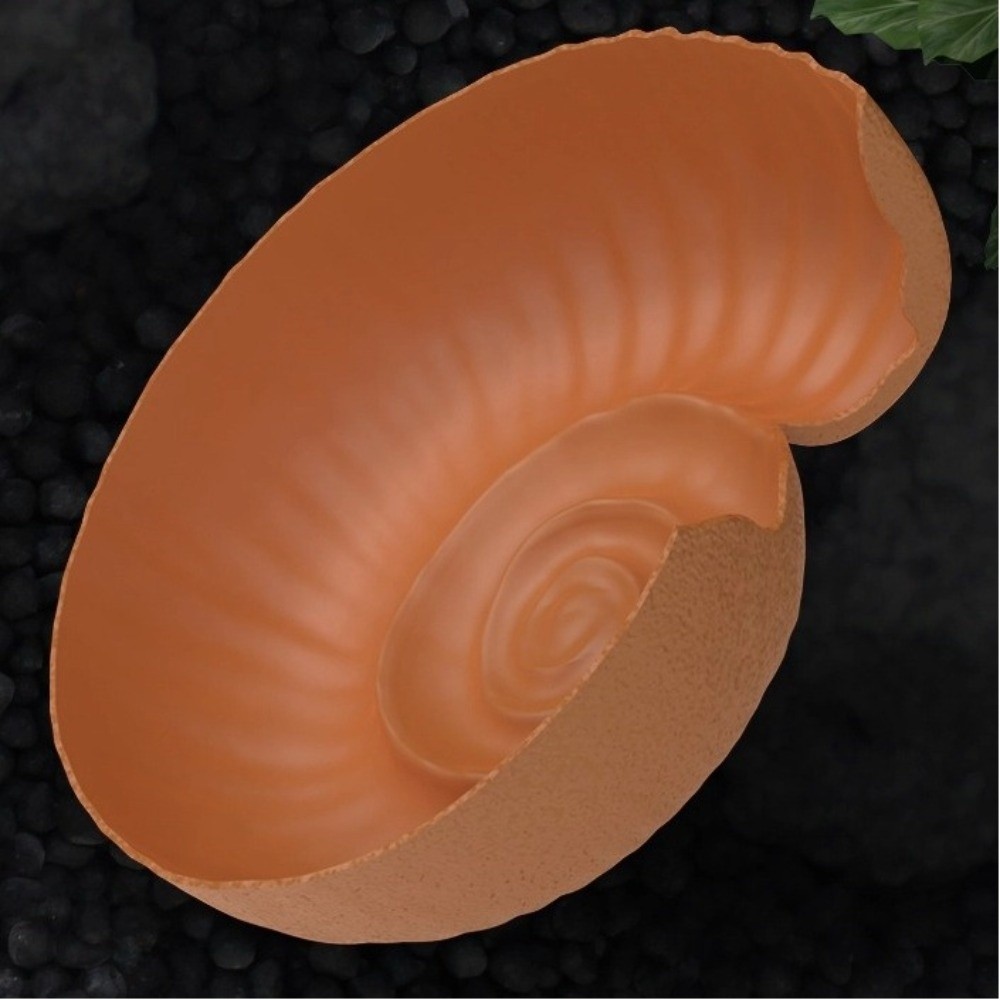 Amonit Şeklinde Sürüngen Gizle - Aquarium Planting Ideas incelemesi ve fiyatı
