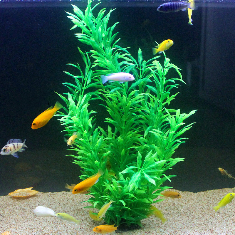 50 CM Yapay Balık Tankı Nadir  - Planted Aquarium With Fish incelemesi ve fiyatı