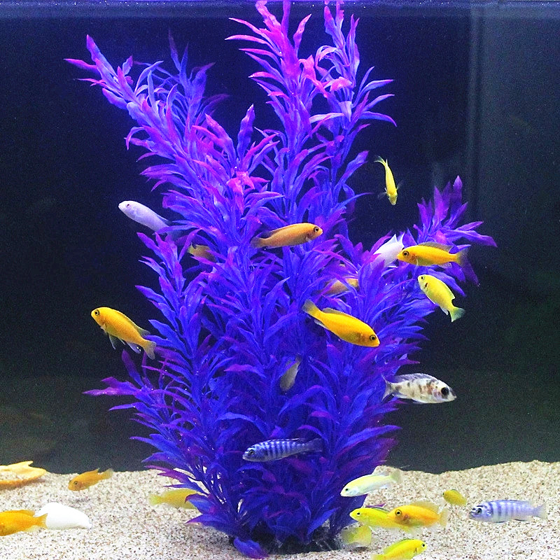 50 CM Yapay Balık Tankı Nadir  - Planted Aquarium With Fish incelemesi ve fiyatı