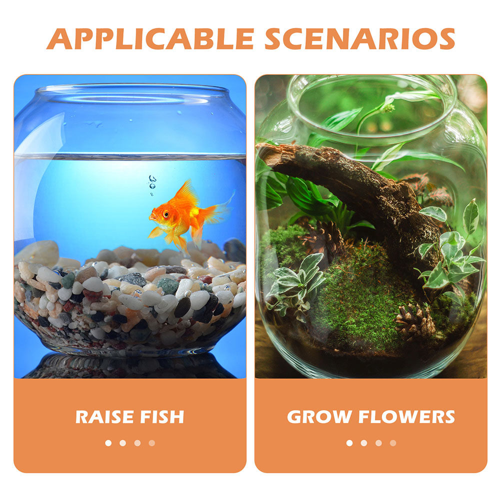 1 Set Yüksek Şeffaflıkta Yuvar - Planted Aquarium Bowl incelemesi ve fiyatı