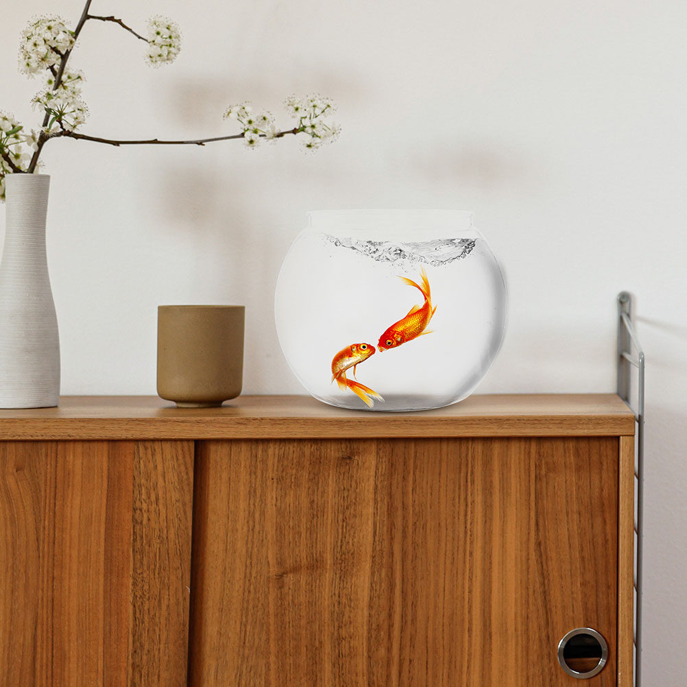 1 Set Yüksek Şeffaflıkta Yuvar - Planted Aquarium Bowl incelemesi ve fiyatı