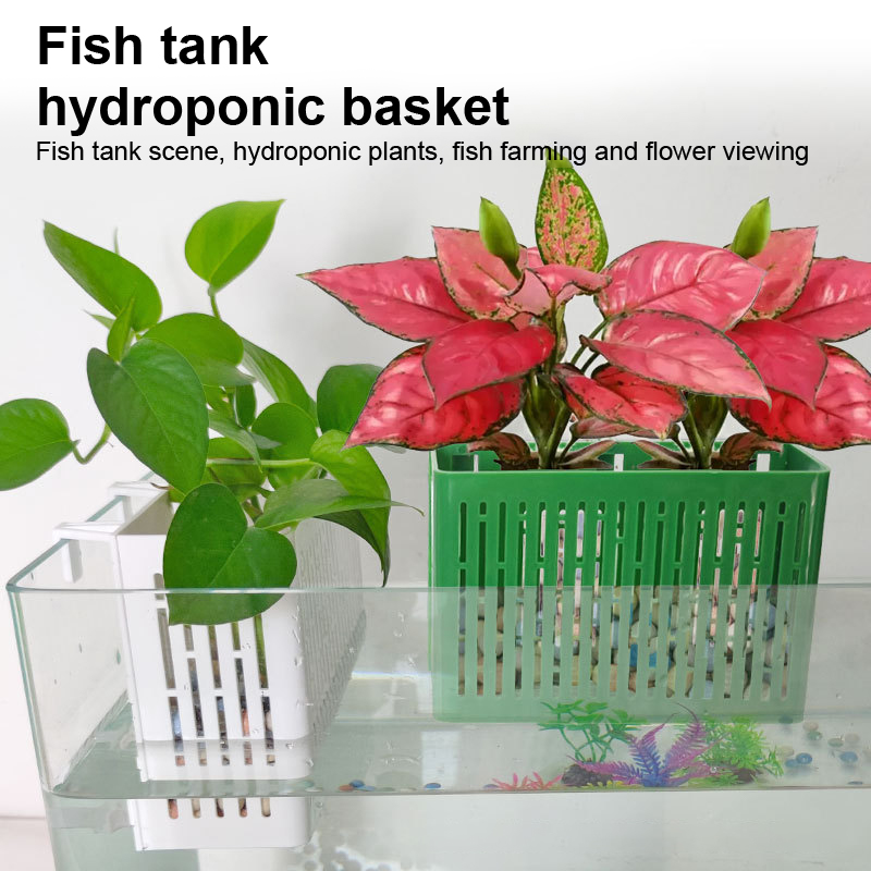 Balık Tankı Asılı Saksı Su Bit - Planted Aquarium With Fish incelemesi ve fiyatı