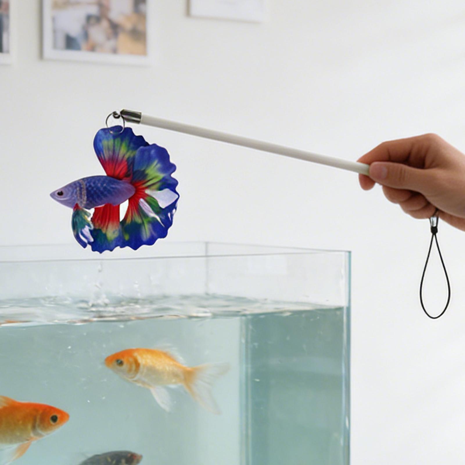 Balık Eğitim Çubuğu Gerçekçi S - Planted Aquarium For Beginners incelemesi ve fiyatı